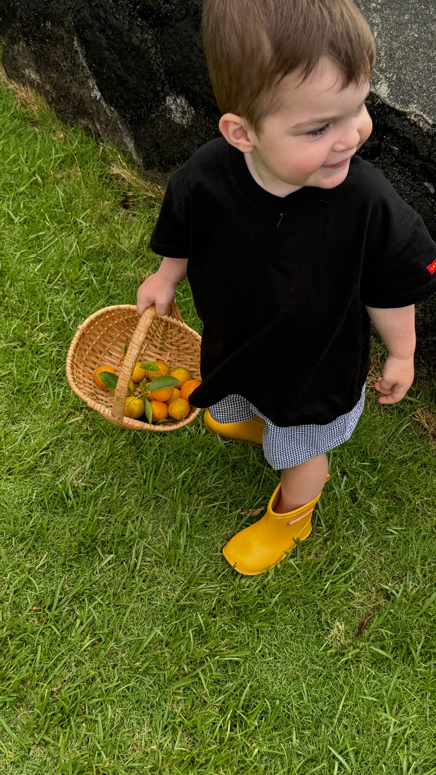 picnic set