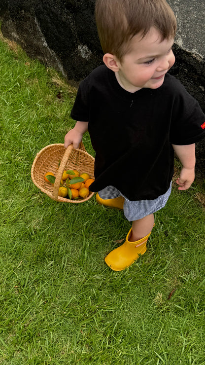 picnic set