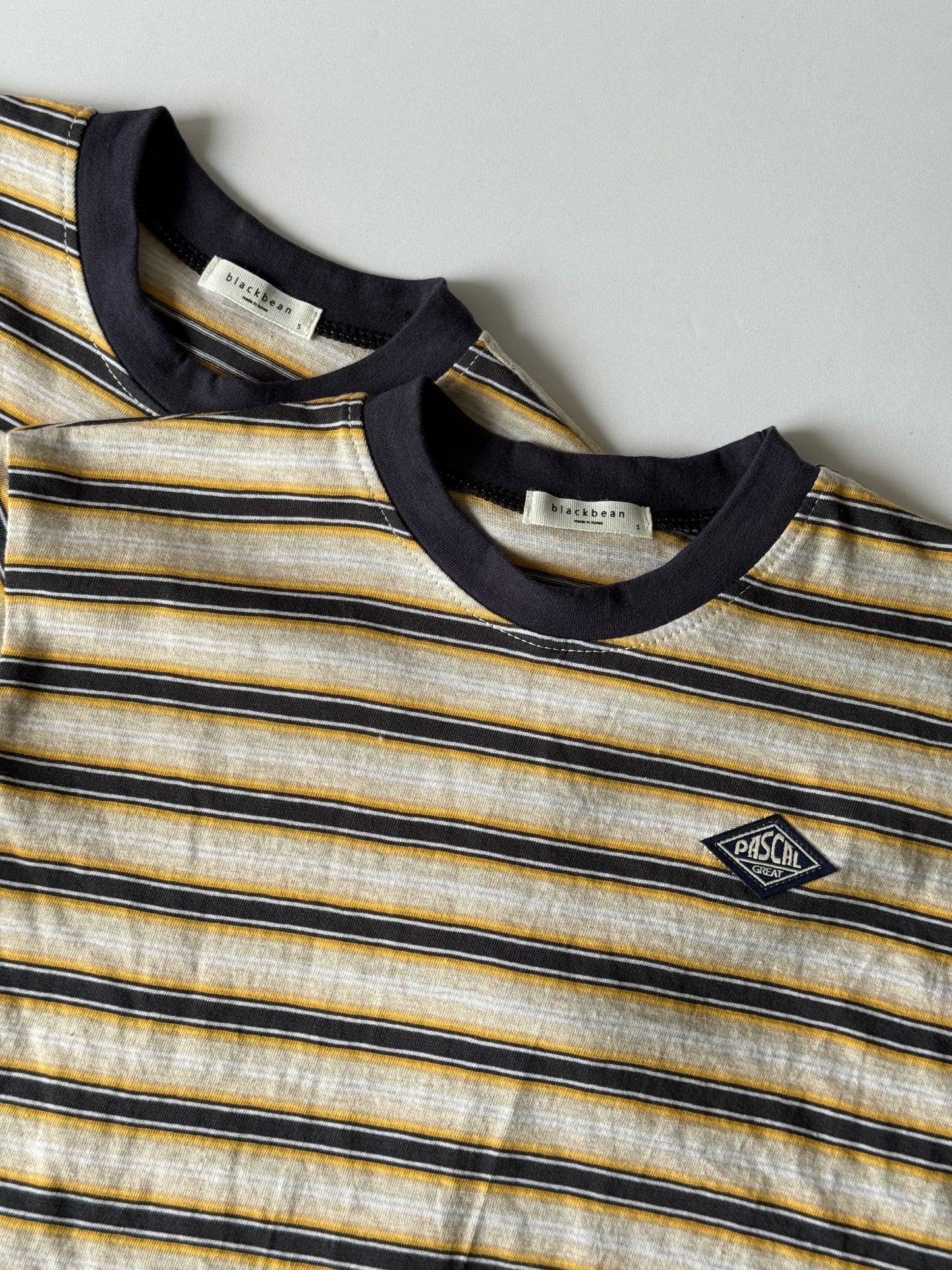 coastal stripe tee
